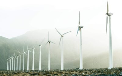 Petroduran fortalece su portafolio con soluciones de energía sostenible